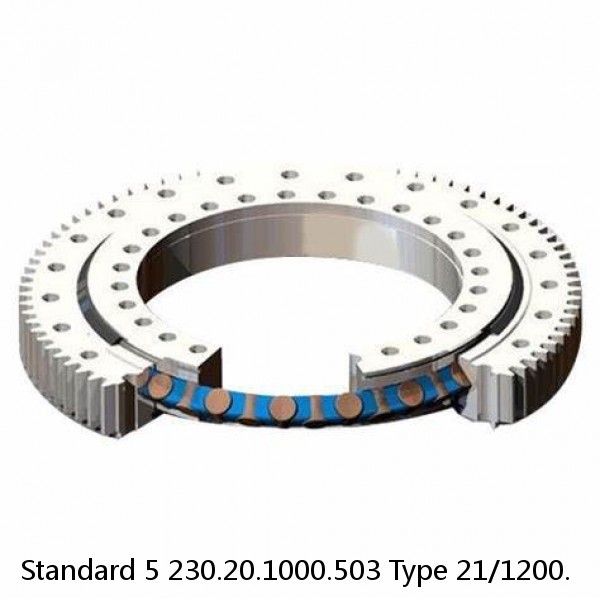 230.20.1000.503 Type 21/1200. Standard 5 Slewing Ring Bearings