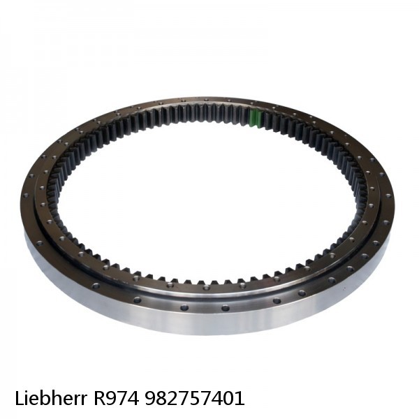 982757401 Liebherr R974 Slewing Ring