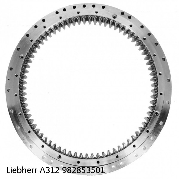 982853501 Liebherr A312 Slewing Ring