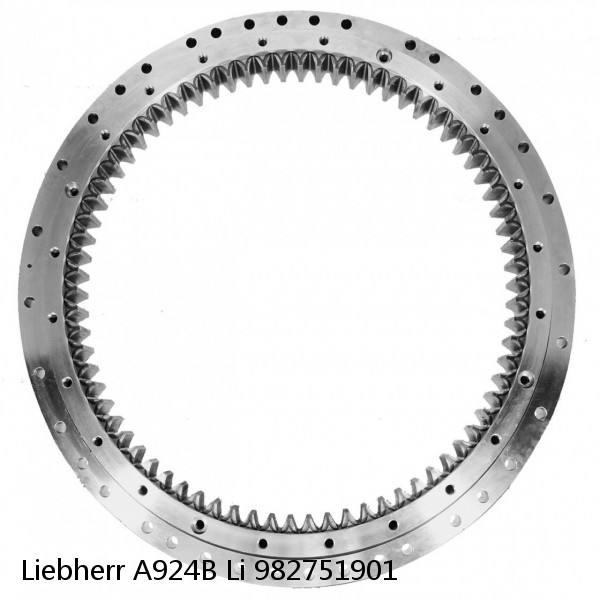 982751901 Liebherr A924B Li Slewing Ring