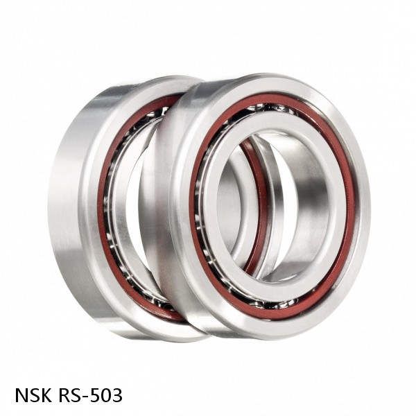 RS-503 NSK CYLINDRICAL ROLLER BEARING