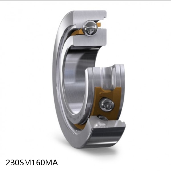 230SM160MA Needle Non Thrust Roller Bearings