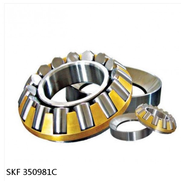 SKF 350981C DOUBLE ROW TAPERED THRUST ROLLER BEARINGS