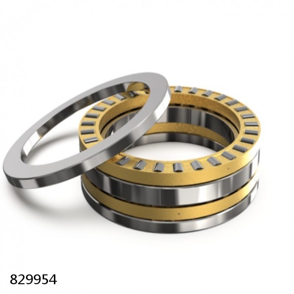 829954 DOUBLE ROW TAPERED THRUST ROLLER BEARINGS